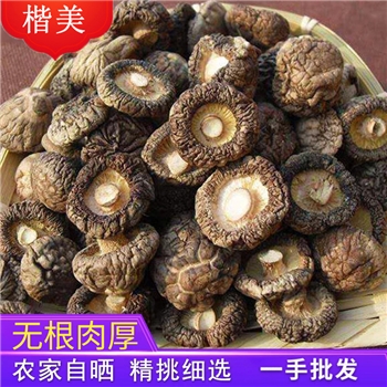 云南楷美小香菇干货南北干货珍珠菇迷你小香菇煲汤料包食材可