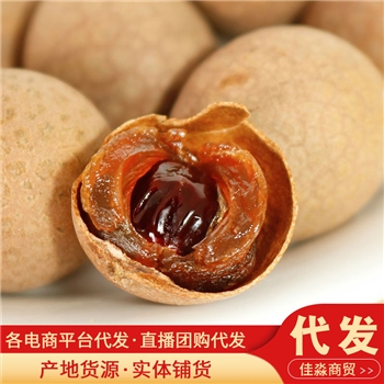 莆田特产桂圆干大量500g 新货干桂圆蜜饯零食小核厚肉桂圆干