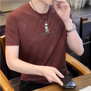 男士短袖t恤2024夏季新款潮流青年男装冰丝半袖体恤重磅上衣服ins