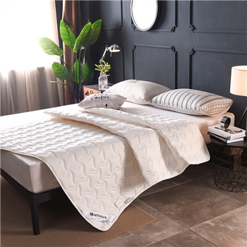 新款全棉防螨薄款夹棉英威达纤维床护垫席梦思保护垫宿舍薄垫子