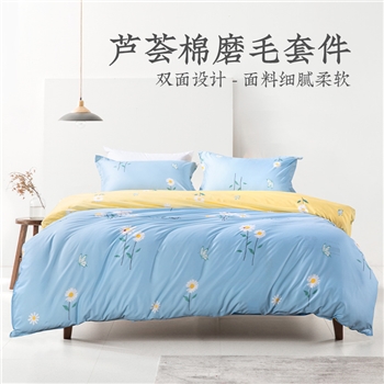 远梦套件芦荟棉磨毛套件三件套四件套被套2米床品套装家用学生用